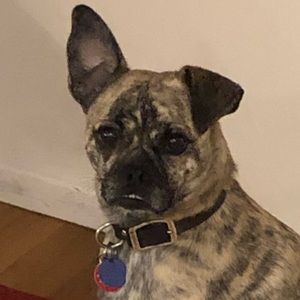 Meet your Posher, Kira